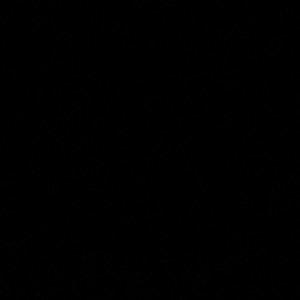 Meet your Posher, Landon